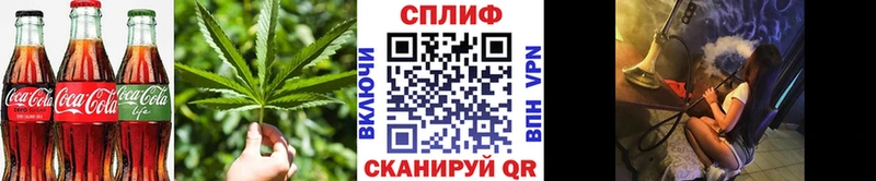 гидра маркетплейс  Купино  это какой сайт  Canna-Cookies марихуана 