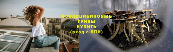 а пвп мука Коряжма