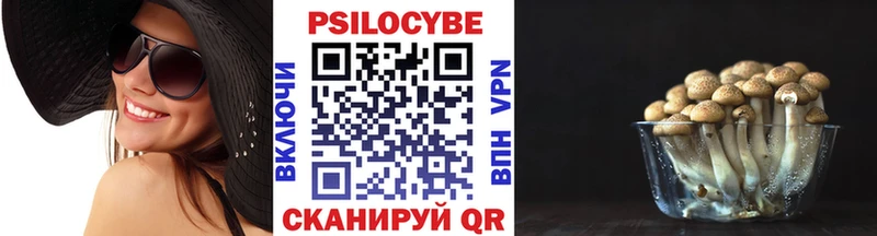 Псилоцибиновые грибы мицелий  Купино 